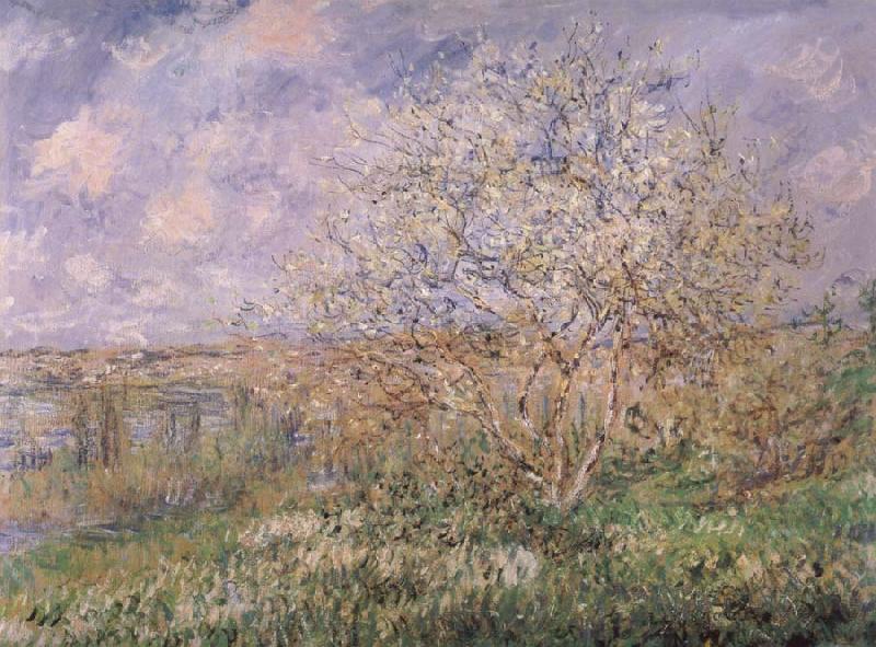 Claude Monet Springtime in Vetheuil oil painting image